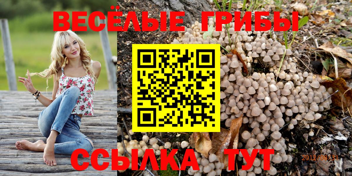 Галлюциногенные грибы мухоморы  Галлюциногенные грибы ЛСД  Заводоуковск  Вход с VPN 