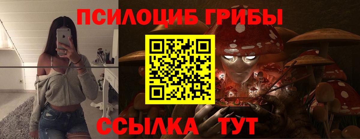 Псилоцибиновые грибы MAGIC MUSHROOMS Заводоуковск